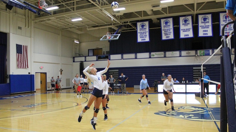 Lady Cougars Lose to Walters State in Straight Sets