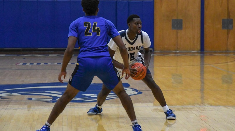 Individual Game Highs Not Enough As Cougars Fall to SCTC